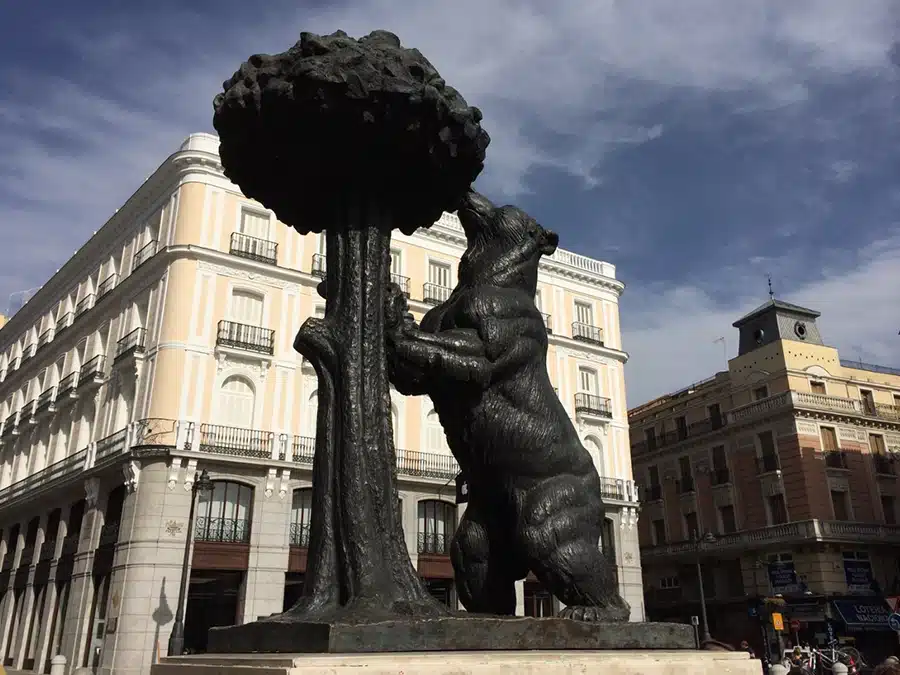 mentora-oso MentoraStudies Madrid - Oso